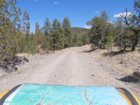 Life after passing Continental Divide Crossing #27, Gila NF, NM.